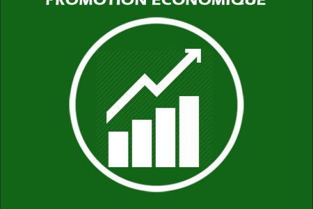 📈 Economic Promotion Unit
