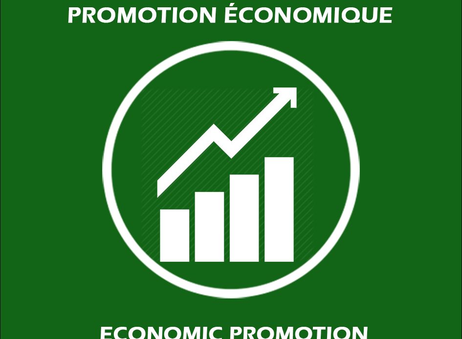 📈 Economic Promotion Unit